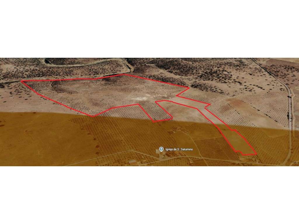 HERDADE EM PORTALEGRE FRONTEIRA - 65 HA COM 4.000 OLIVEIRAS -| OPOR... - Grande imagem: 3/10