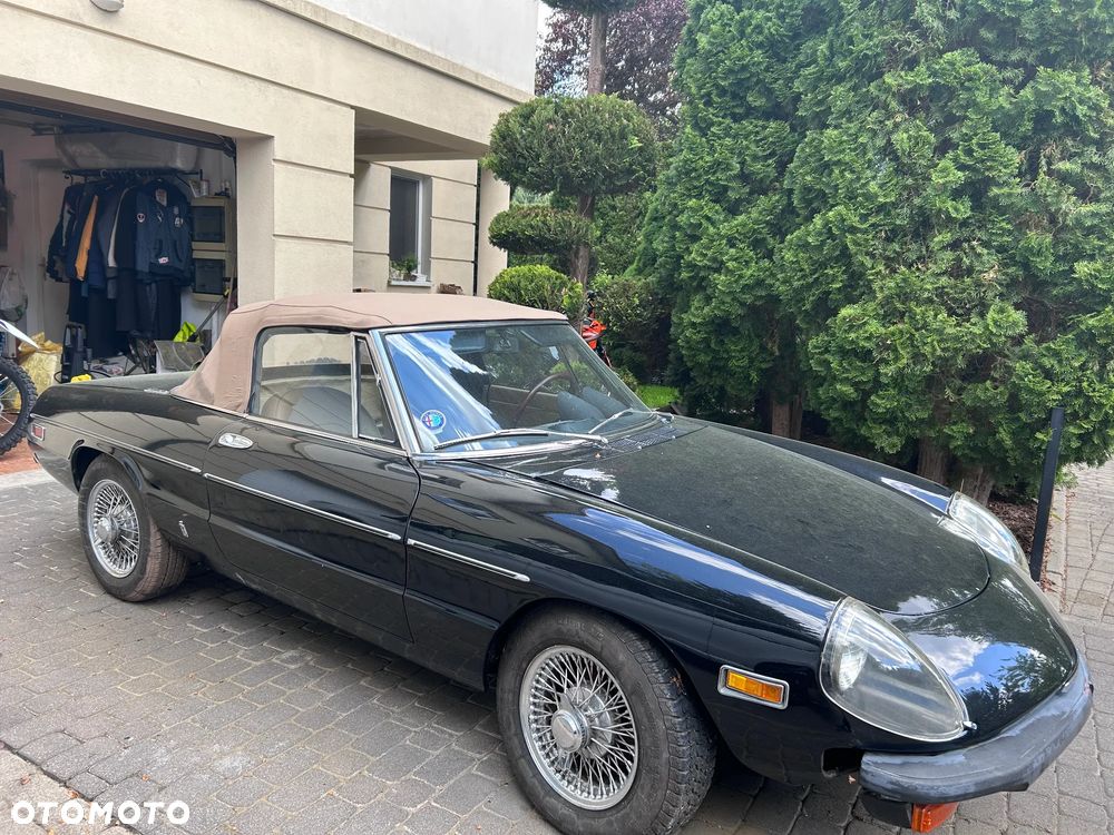 Alfa Romeo Spider - 31