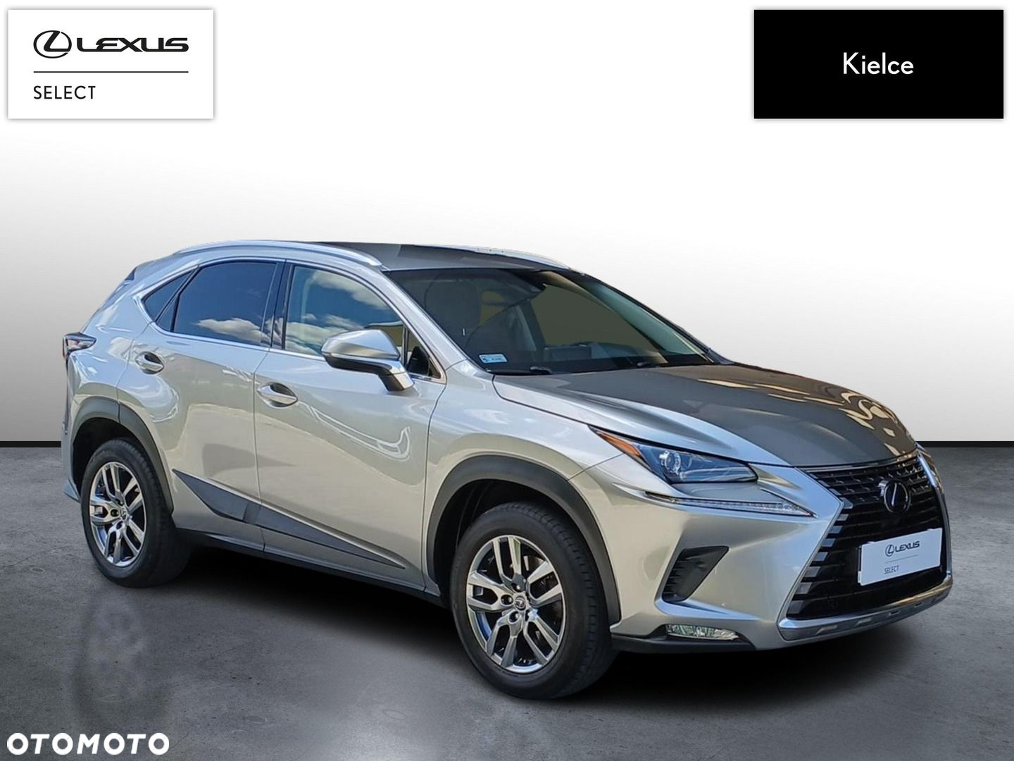 Lexus NX - 7