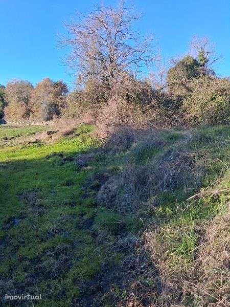 Terreno Rústico agrícola em Ermida Cavernãs - Grande imagem: 4/7