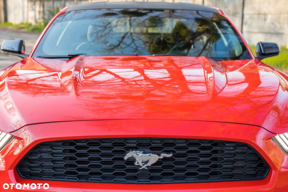 Ford Mustang 2.3 EcoBoost - 15