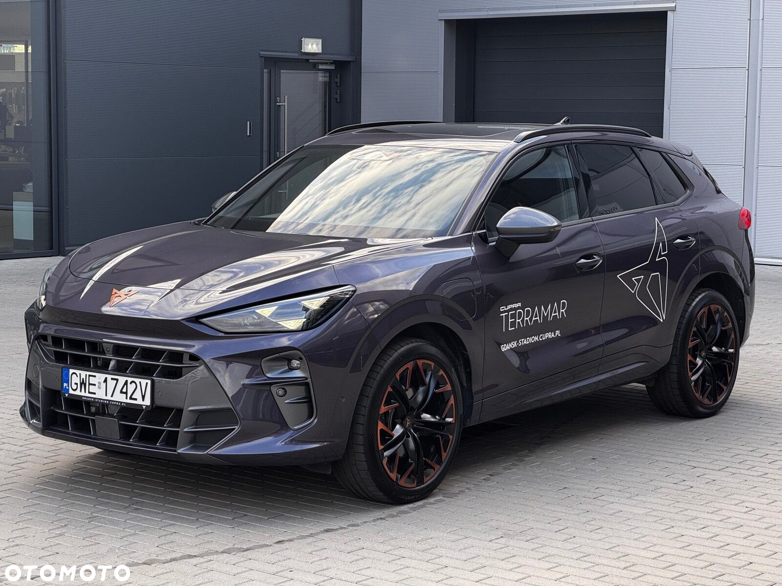 Cupra Terramar - 3