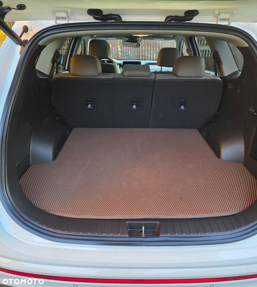 Hyundai Santa Fe - 19