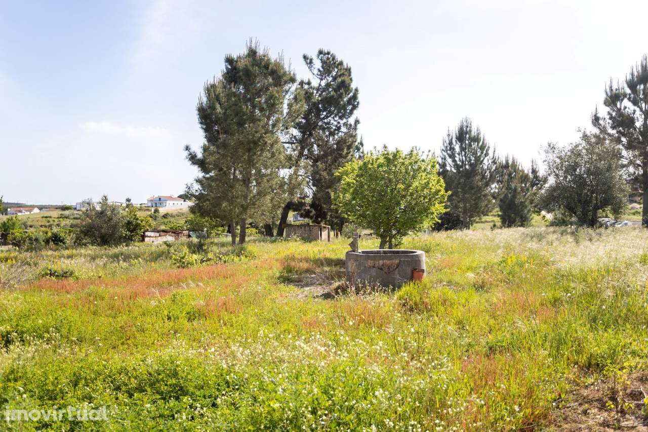 Moradia T1 -  Fajarda/ Coruche - Grande imagem: 3/10