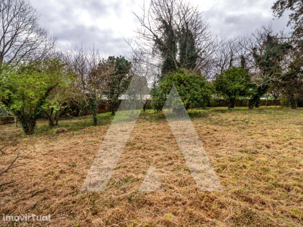 Lote de Terreno para construção de moradia na Sra. Do Monte - Salreu - Grande imagem: 5/12