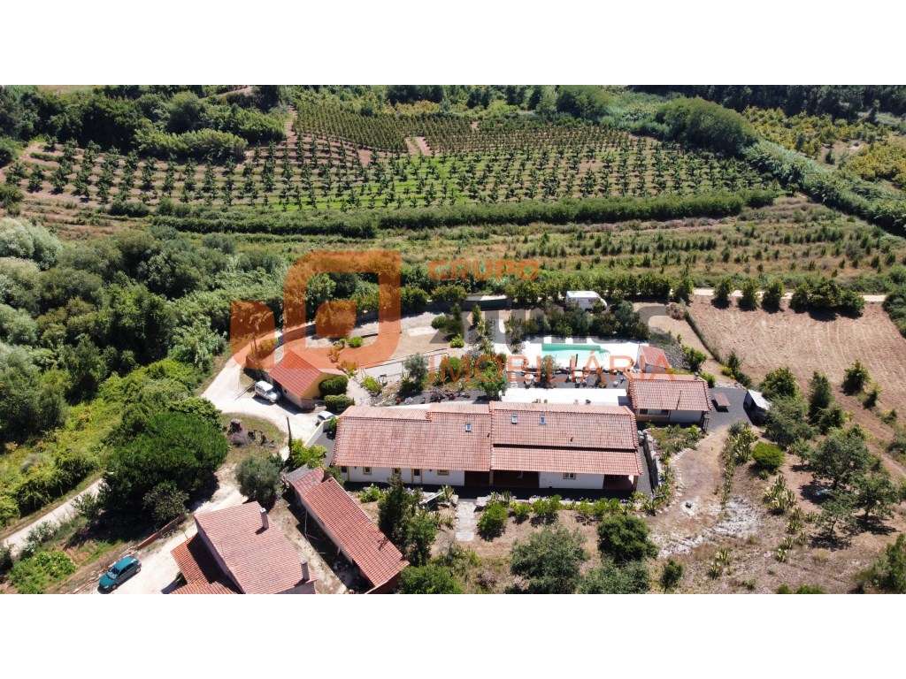 Magnífica propriedade tipo quintinha!! - Grande imagem: 5/60