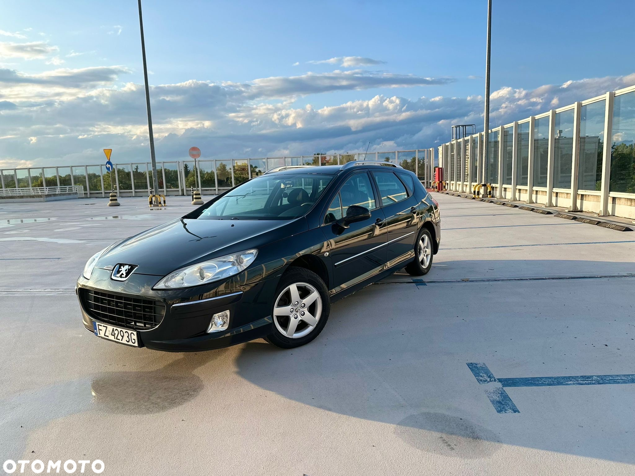 Peugeot 407 - 10