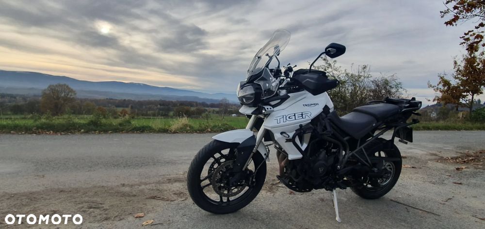 Triumph Tiger - 11