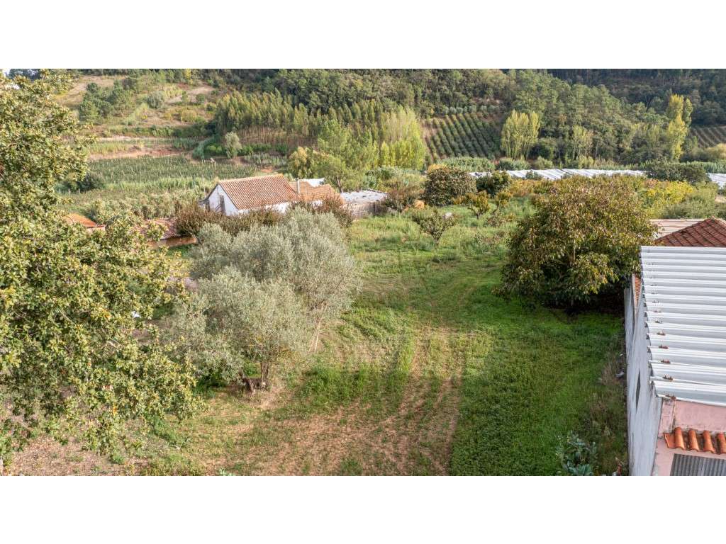 Terreno com Ruina no Vimeiro ' Casal' - Grande imagem: 3/16