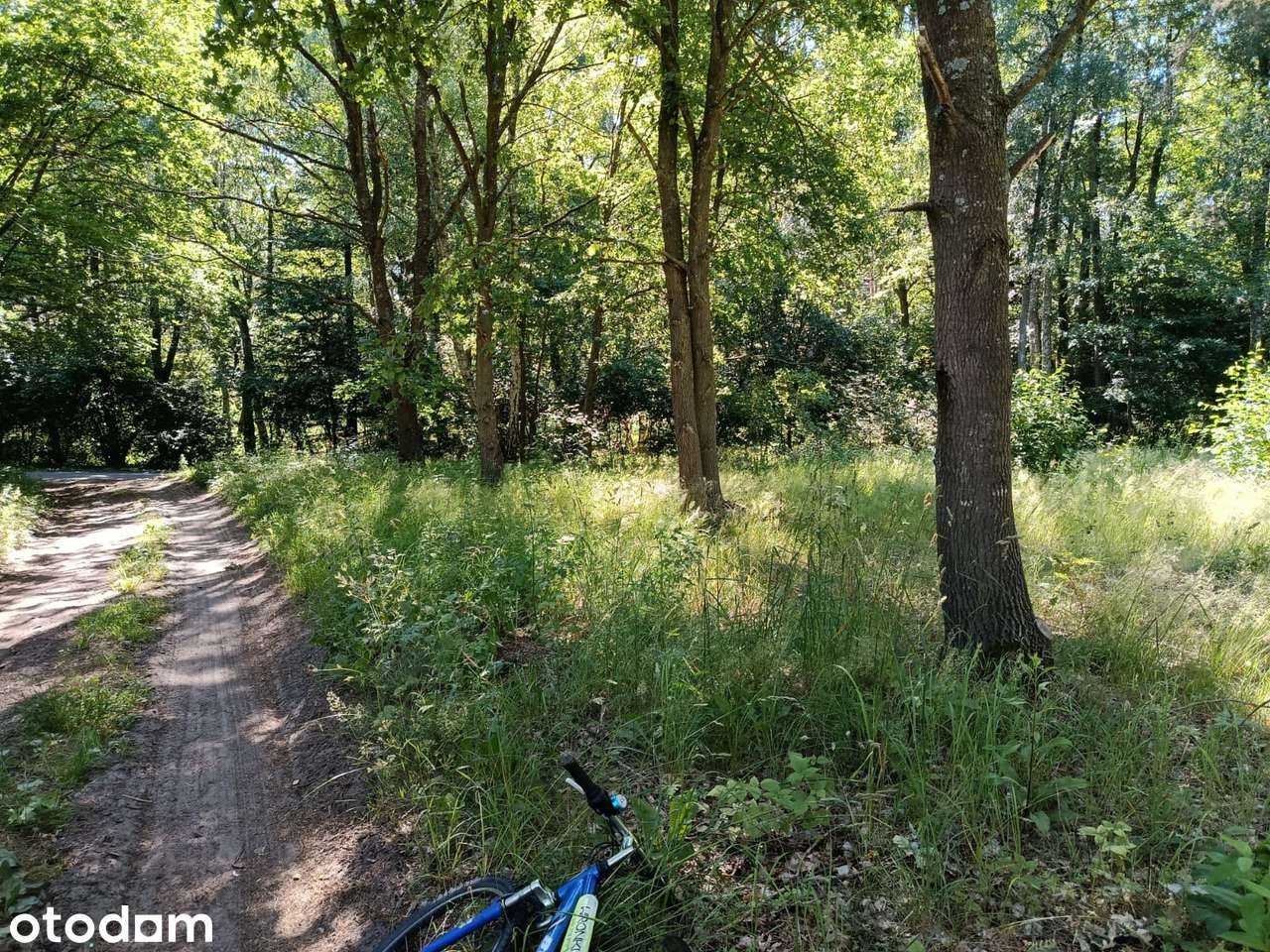 Działka, 861 m², Redliny - Pełny obrazek: 4/7