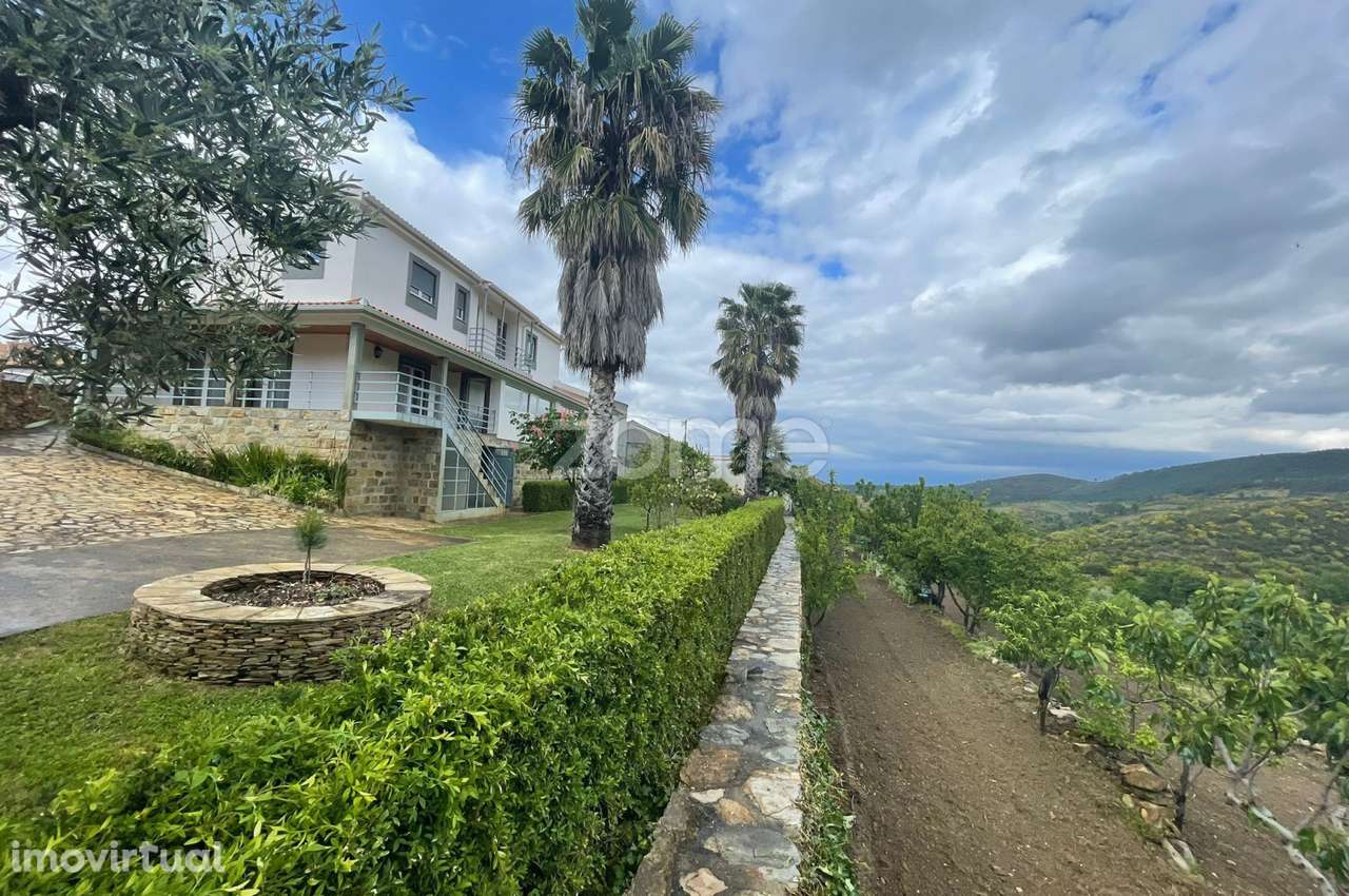 Quinta com Moradia V3 de 2 Pisos, Garagem e Olival – São Pedro, Vei... - Grande imagem: 3/30