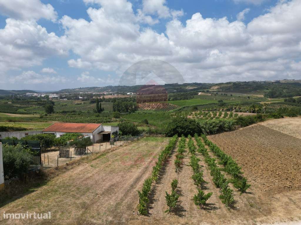 Terreno com Projeto Aprovado para Moradia T3 - Sobral do Parelhão - Grande imagem: 5/13