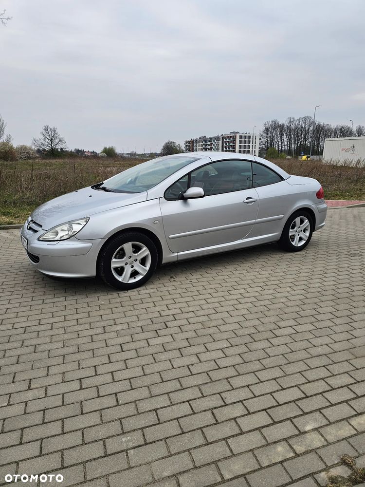 Peugeot 307 CC 2.0 - 17