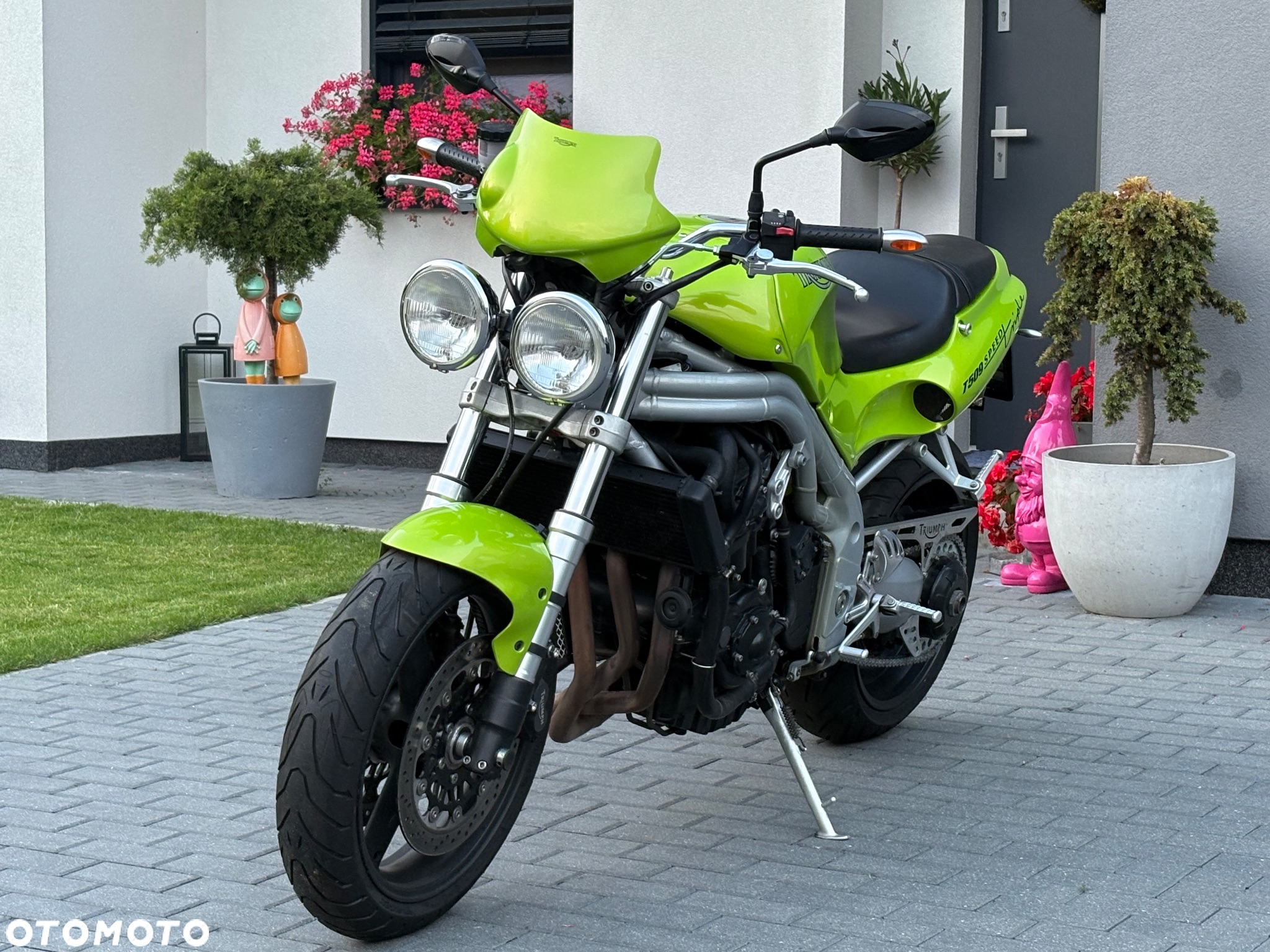 Triumph Speed Triple - 3