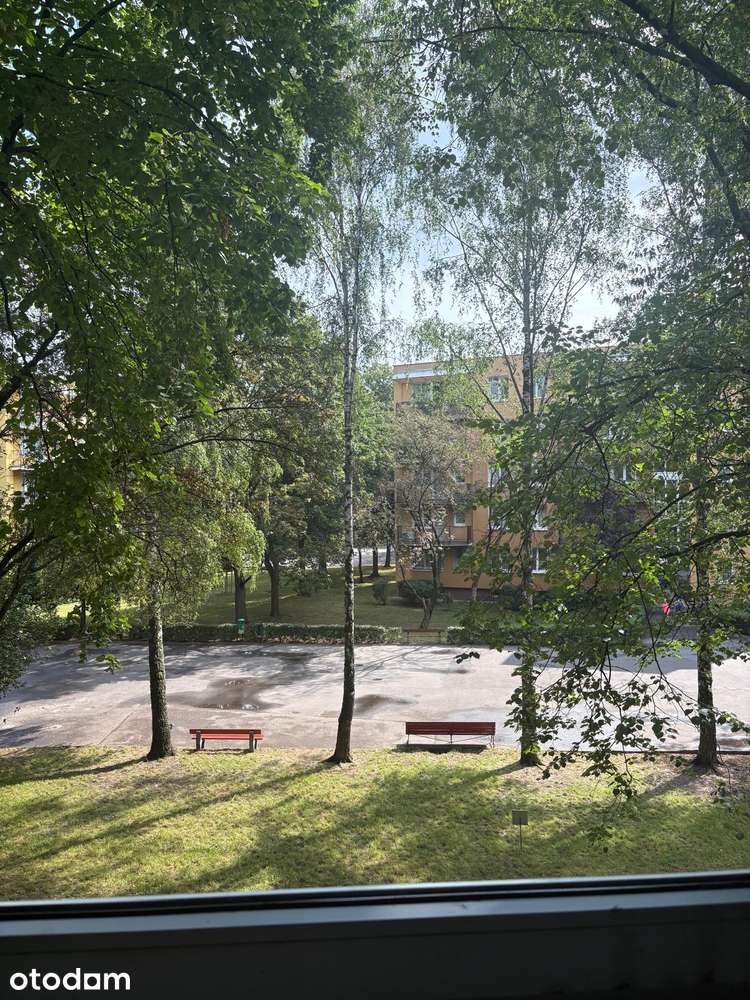 3 pokoje/Mieszkanie na wynajem/Saska Kępa/ ul. Afrykańskiej