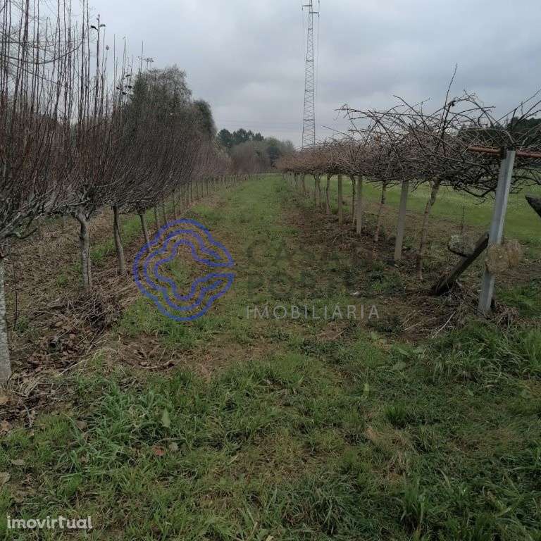 Terreno em Ermesinde com 4.000m2 - Grande imagem: 4/6