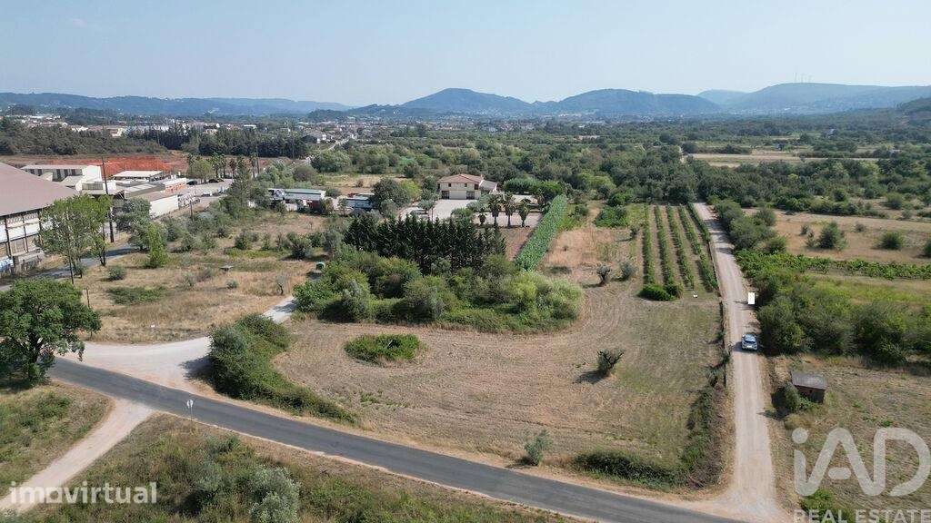 Terreno Agrícola em Cumeeira - Grande imagem: 2/23