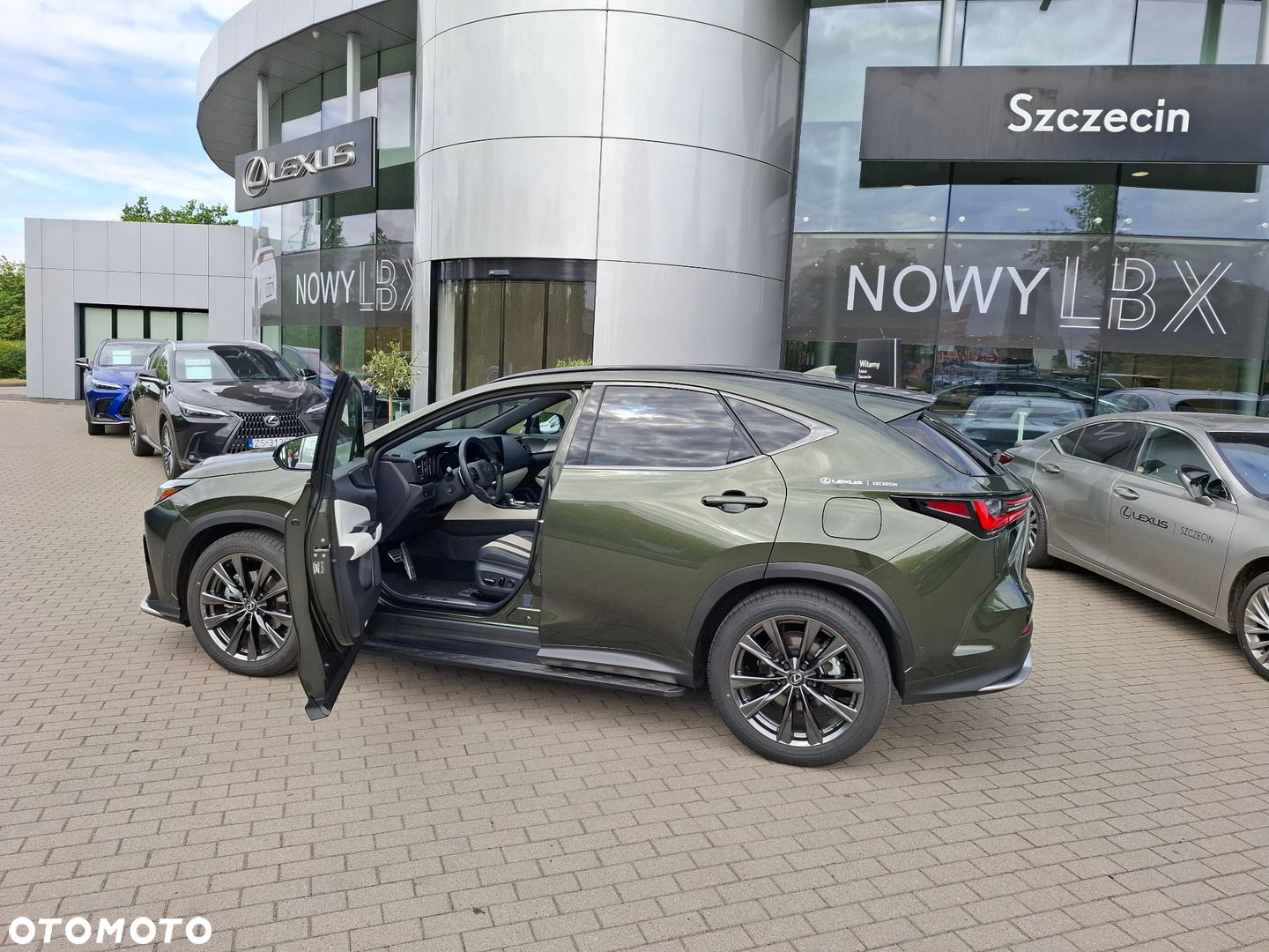 Lexus NX - 10