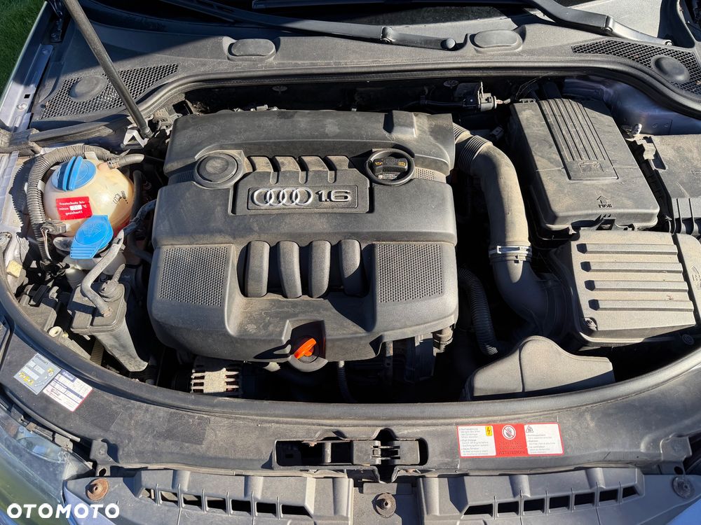 Audi A3 3-drzwiowe 1.6 Attraction - 13