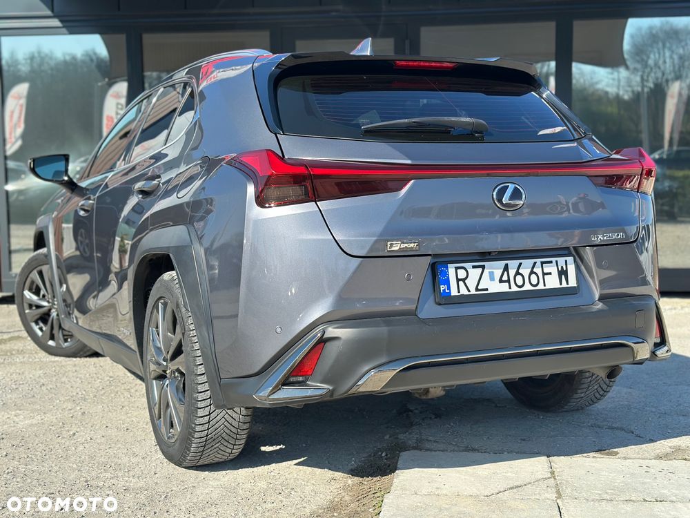 Lexus UX 250h F SPORT - 7