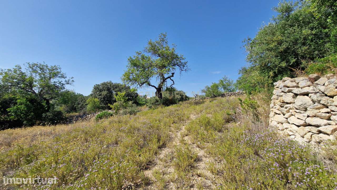 Terreno, 2 630 m², Boliqueime - Grande imagem: 4/17
