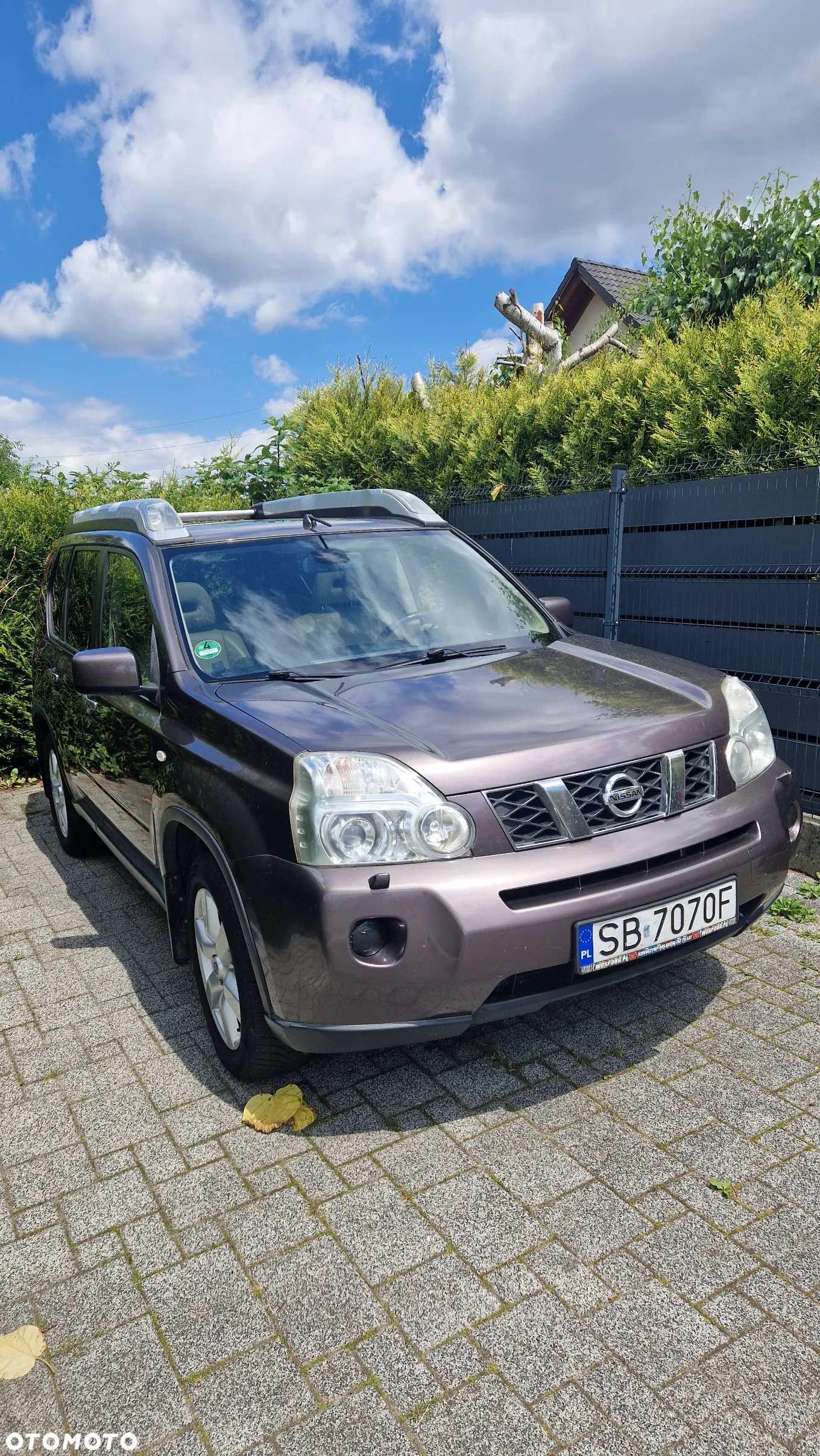 Nissan X-Trail 2.0 dCi LE Platinum - 20