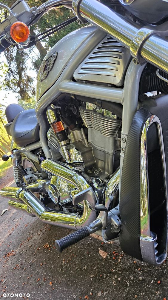 Harley-Davidson Softail V-Rod - 9