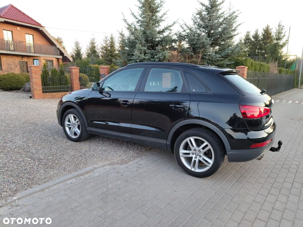 Audi Q3 - 19