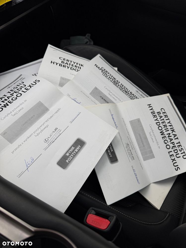 Lexus NX 300h F Sport AWD - 30