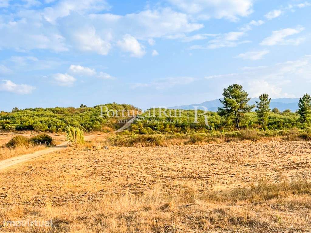 Quinta de regadio com 46.000 m2, em Alcaria - Fundão - Grande imagem: 3/28