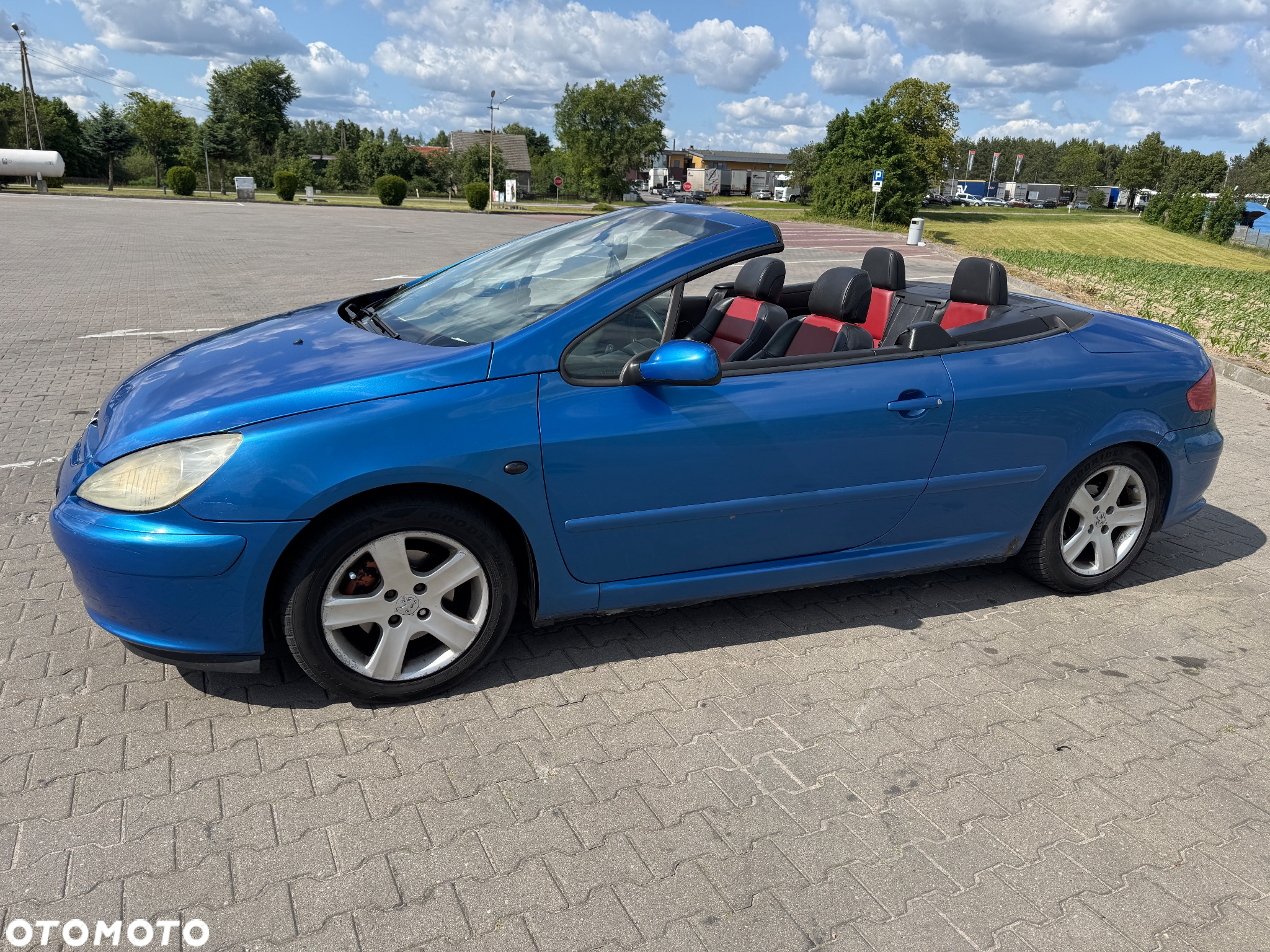 Peugeot 307 CC 2.0 - 5