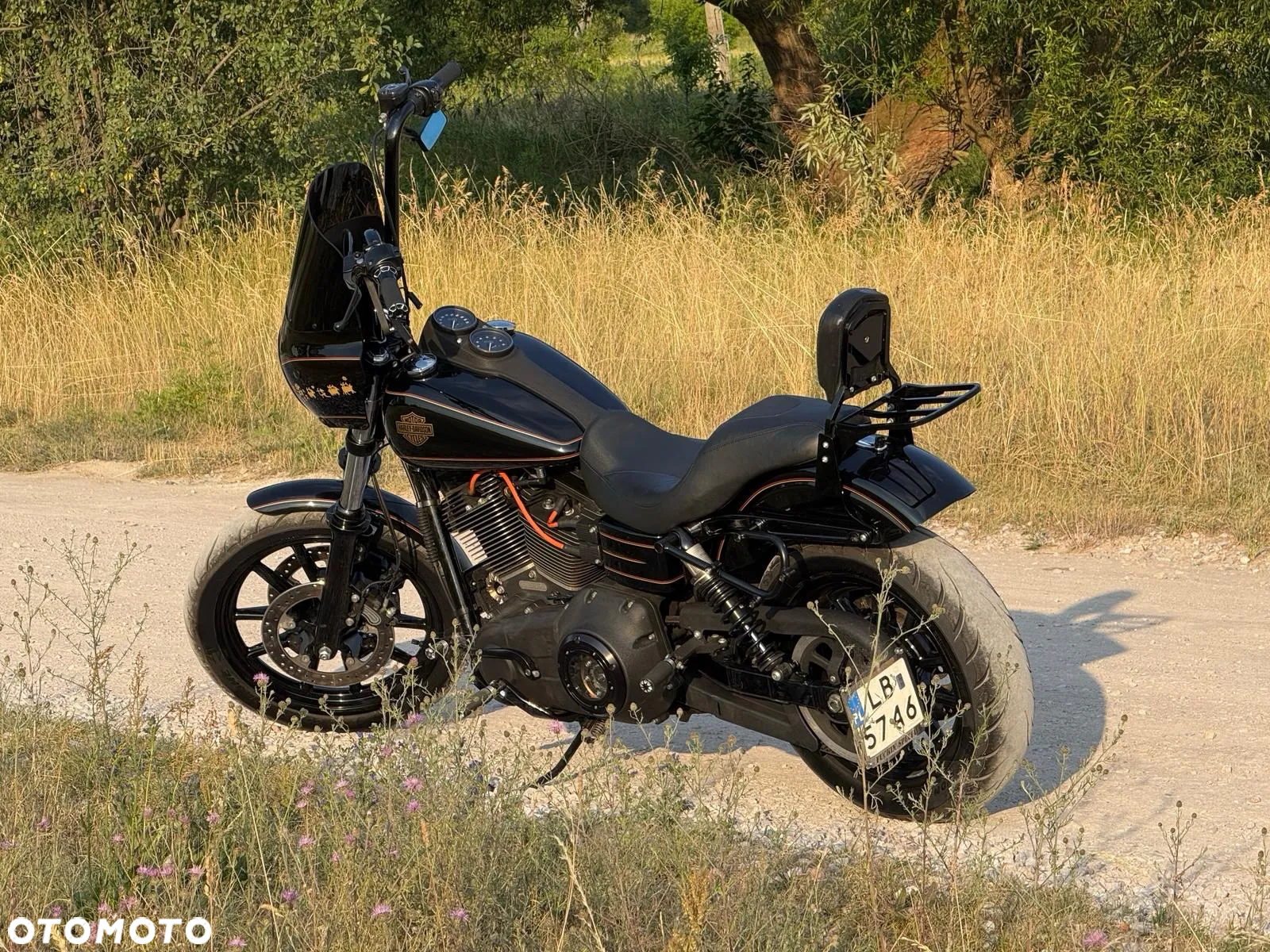 Harley-Davidson Dyna Low Rider - 4