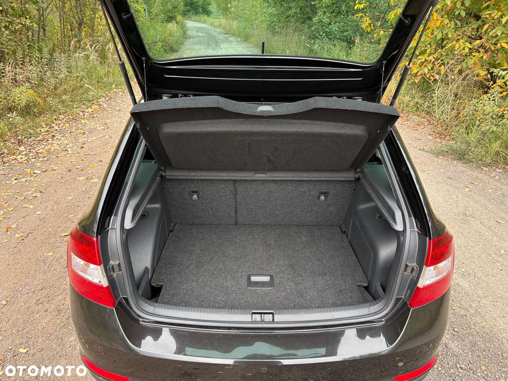 Skoda RAPID - 17
