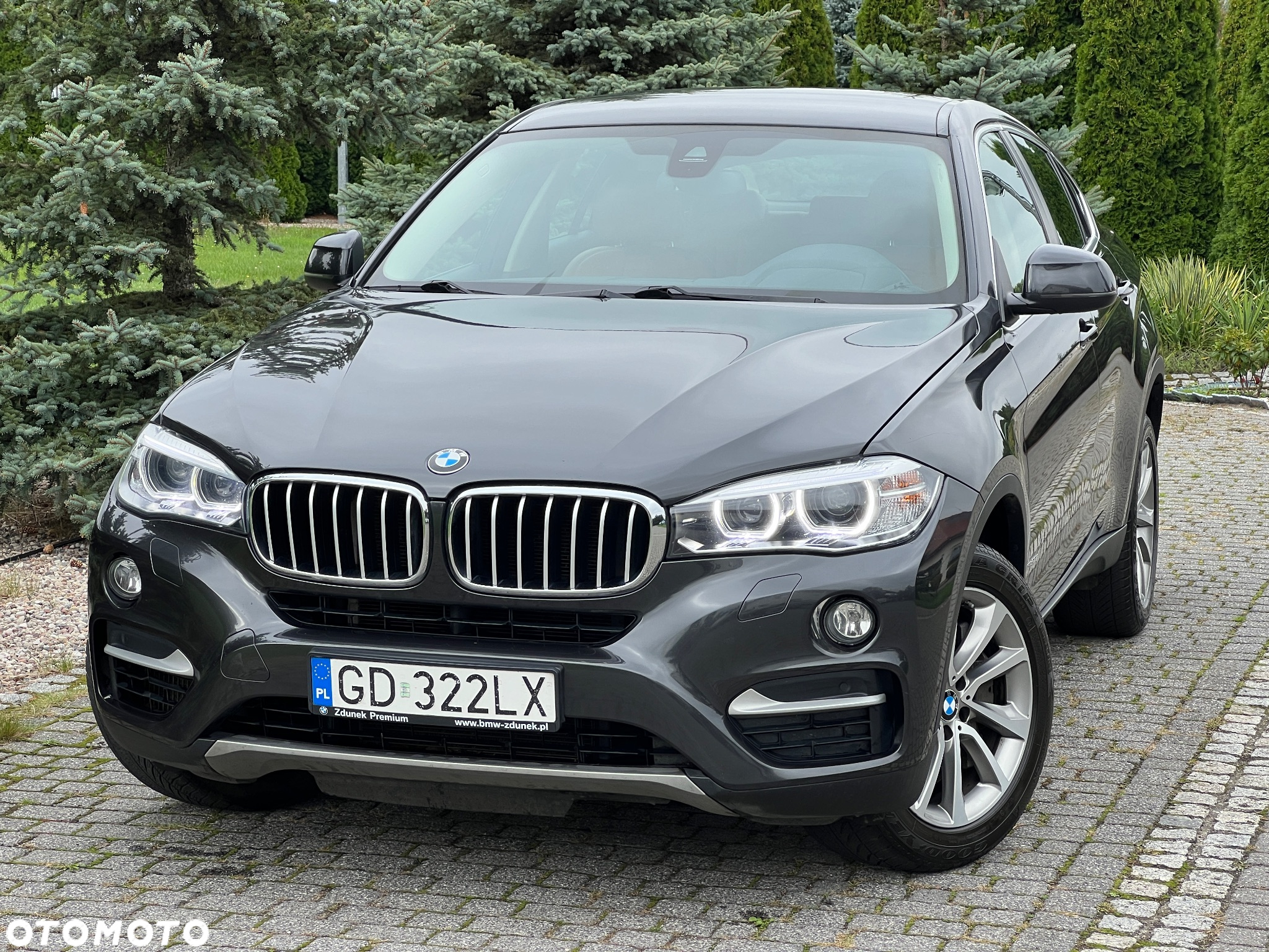 BMW X6 xDrive50i - 2