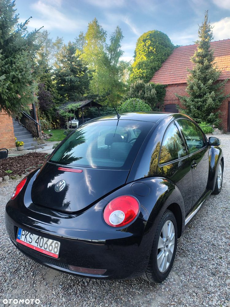 Volkswagen New Beetle 1.4 - 15