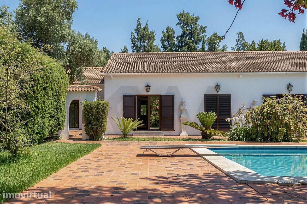 Refúgio na Arrábida | Quinta de 1,5ha | moradia térrea| piscina | cort - Grande imagem: 4/60