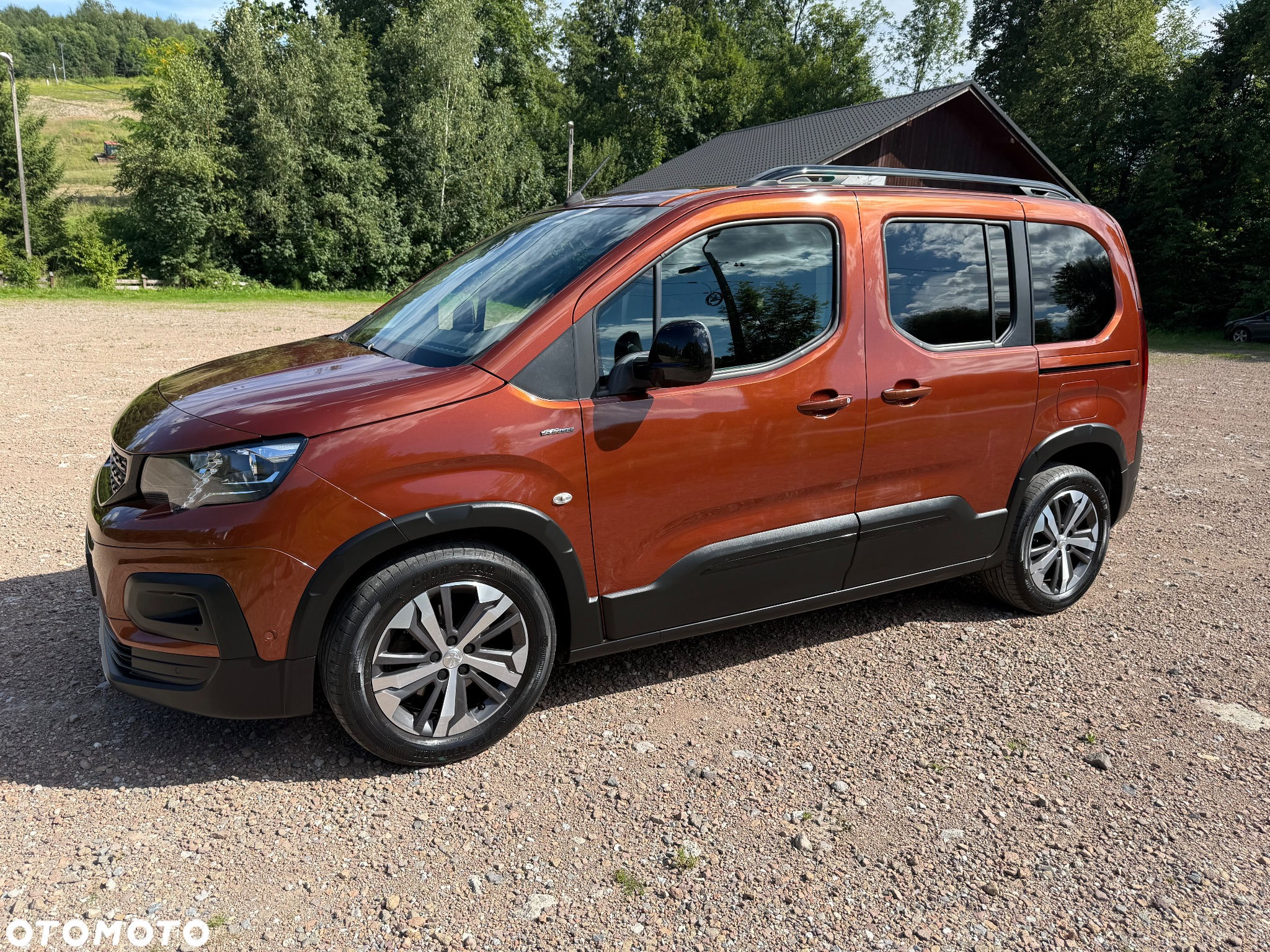 Peugeot Rifter 1.5 BlueHDI GT Line S&S - 17