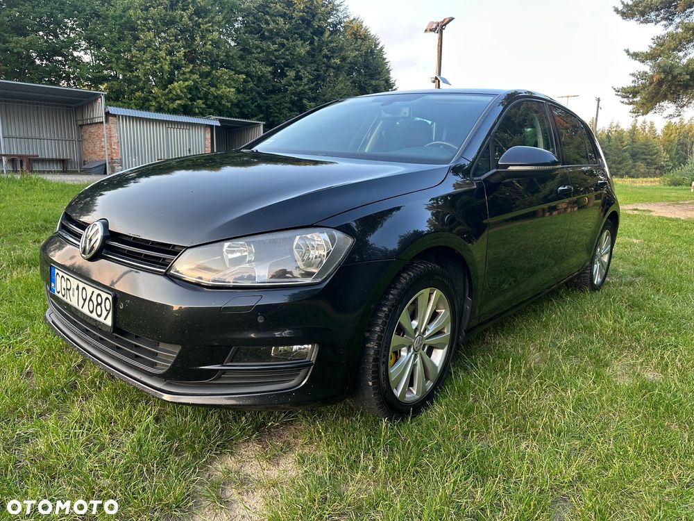 Volkswagen Golf - 15