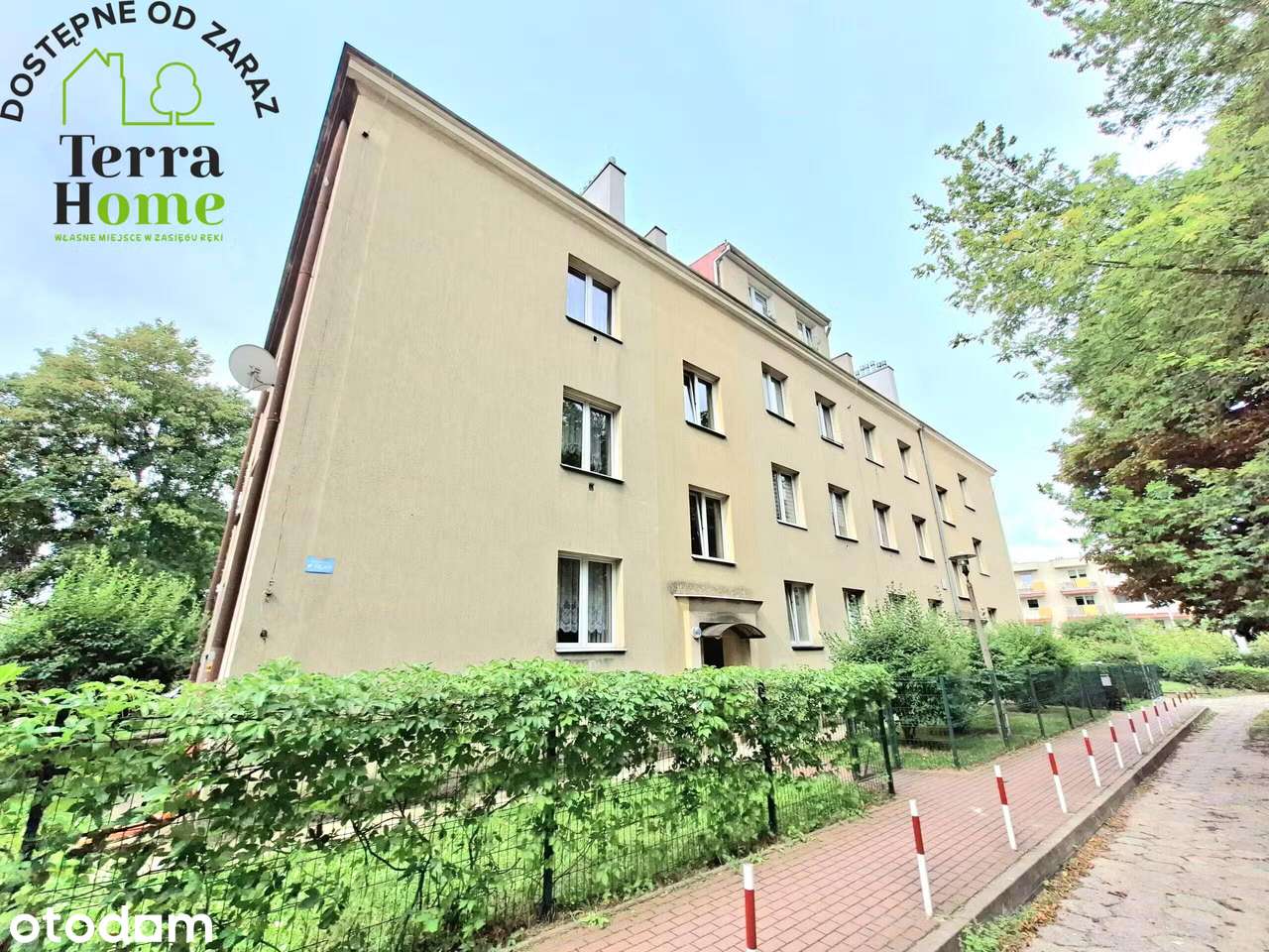 33,6 m² | Parter | Do remontu | Miodowa 8 | Parking