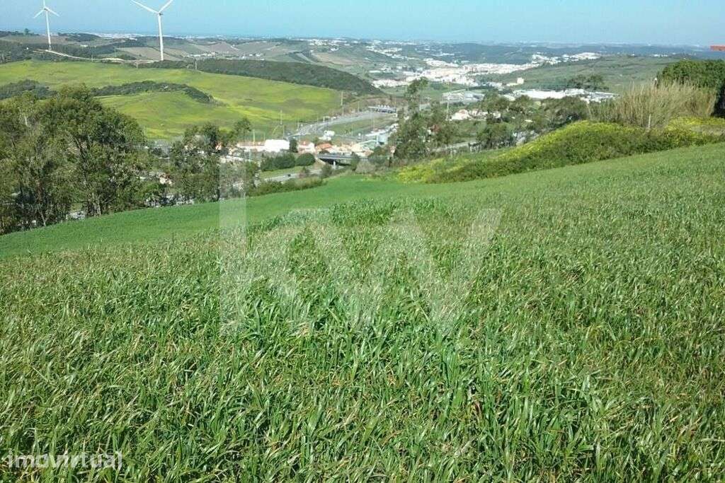Terreno com 3560m2 na zona de Torres Vedras - Grande imagem: 2/15