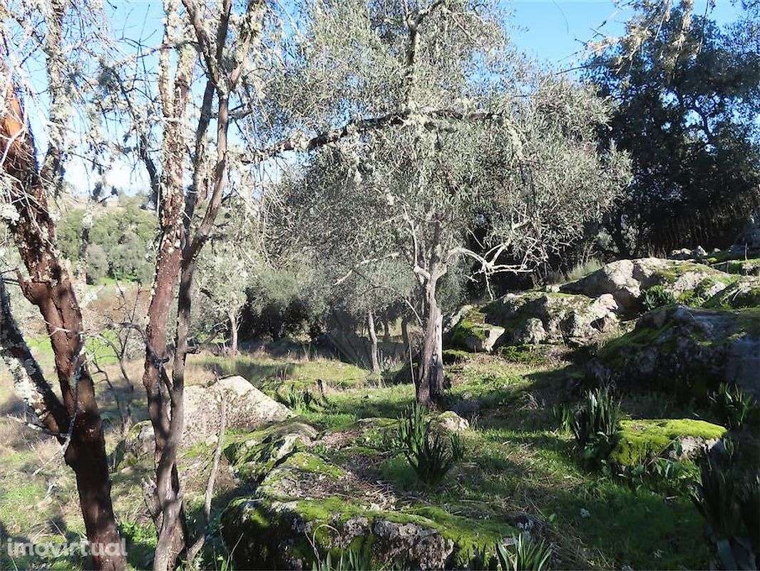 Quinta  para venda - Grande imagem: 2/13