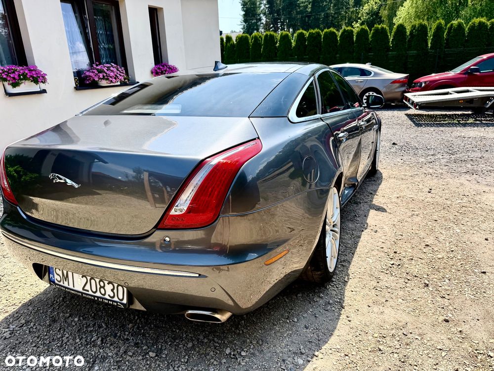 Jaguar XJ 3.0 D V6 Luxury - 7