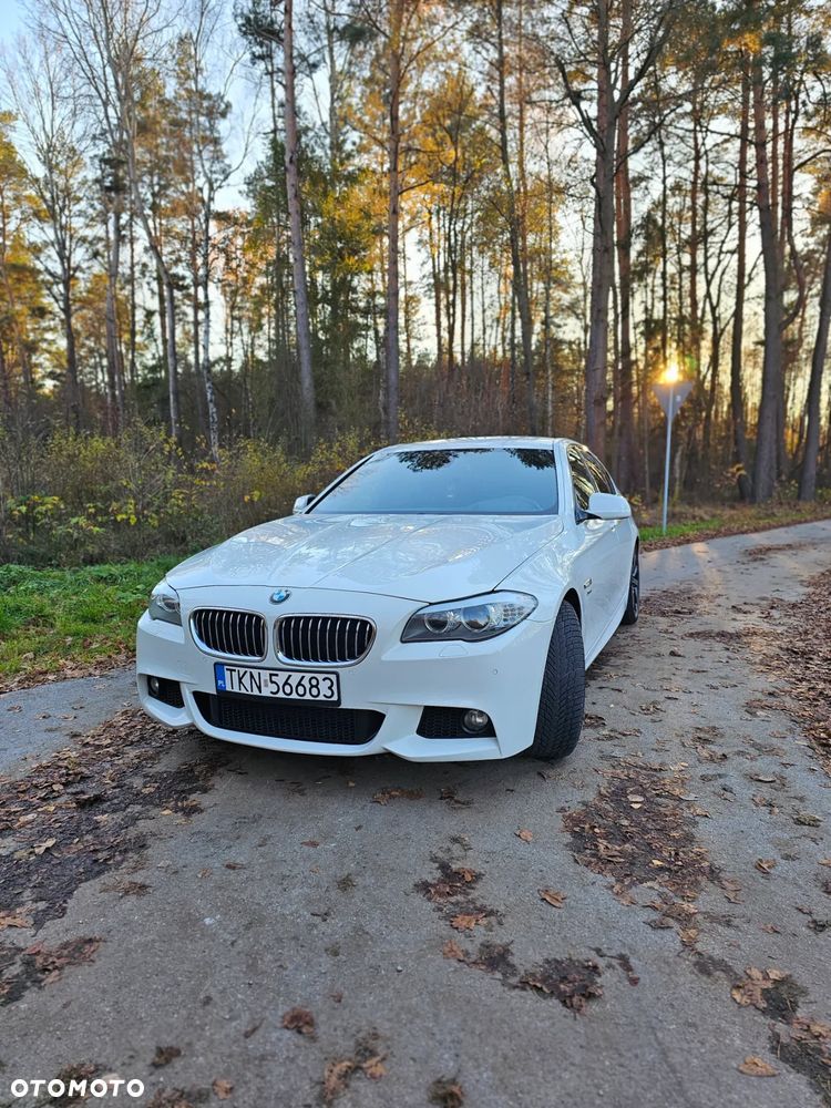 BMW Seria 5 530d xDrive - 20