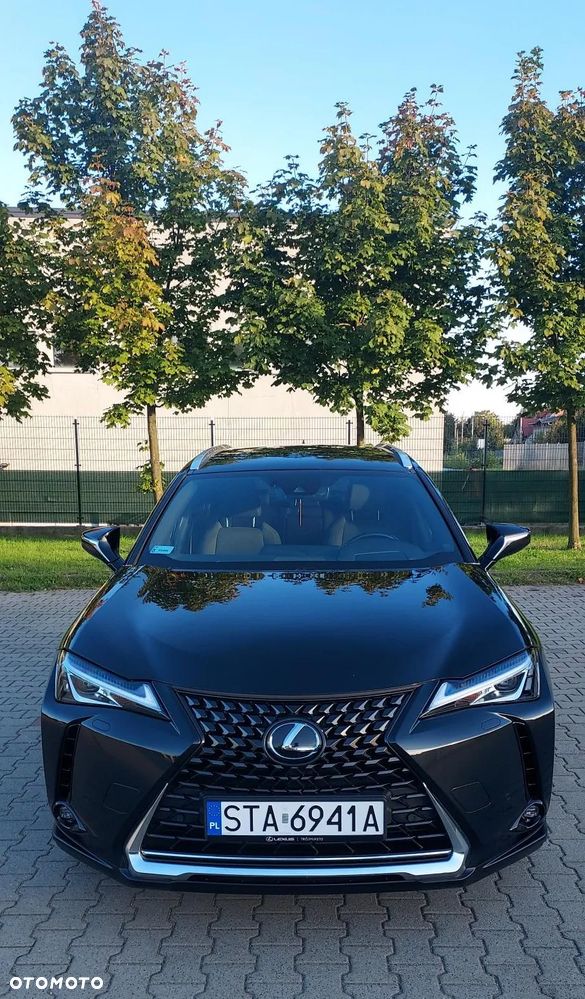 Lexus UX 200 GPF Business 2WD - 2