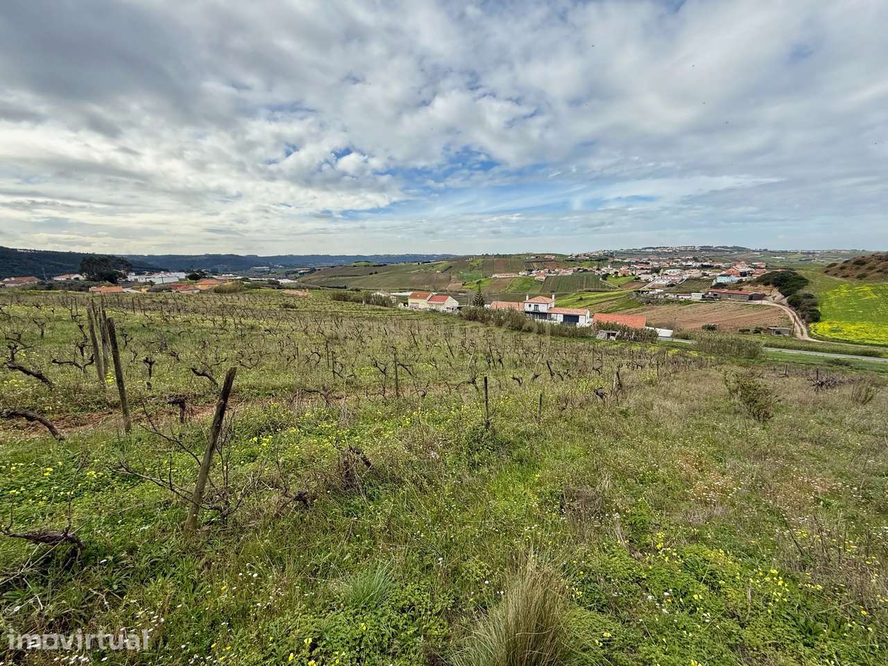 Terreno Rústico c/17 960m2 e vinhas antigas - Grande imagem: 4/11