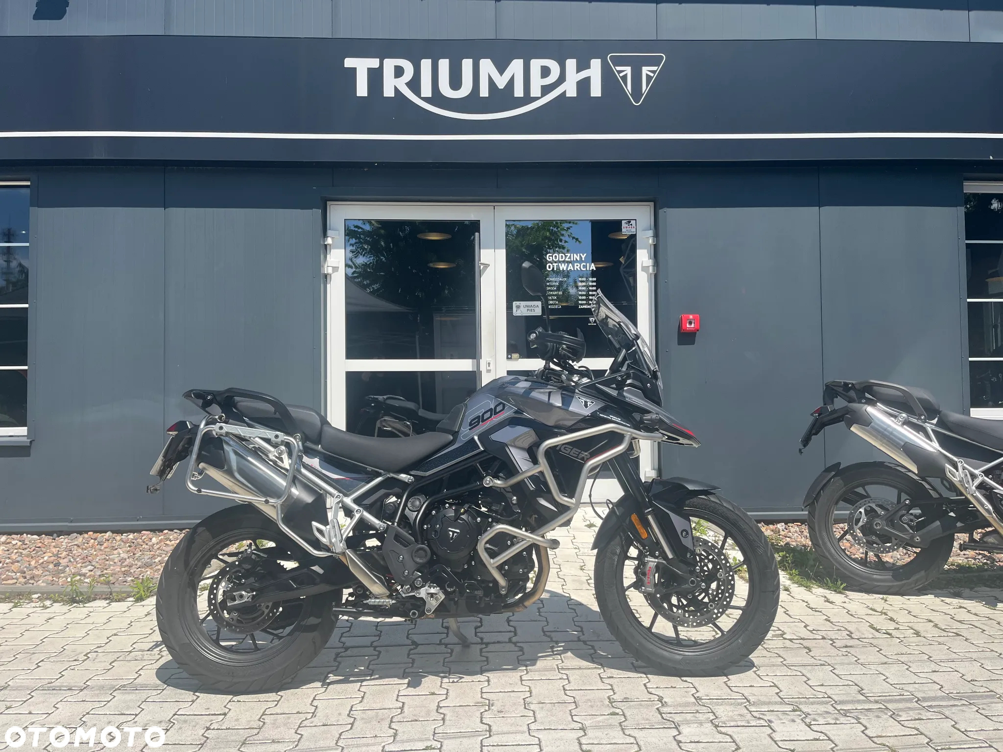 Triumph Tiger