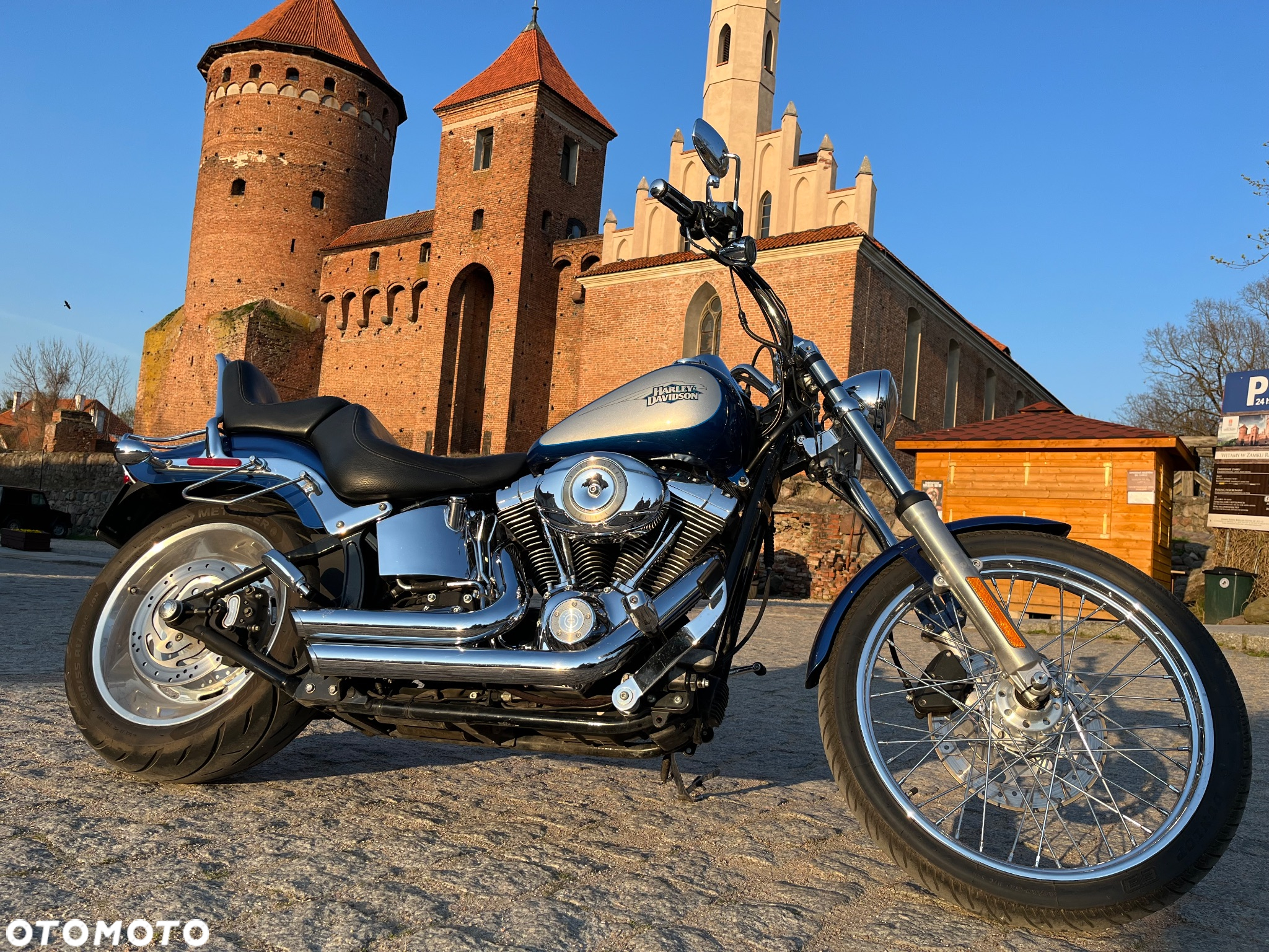 Harley-Davidson Softail Custom - 7