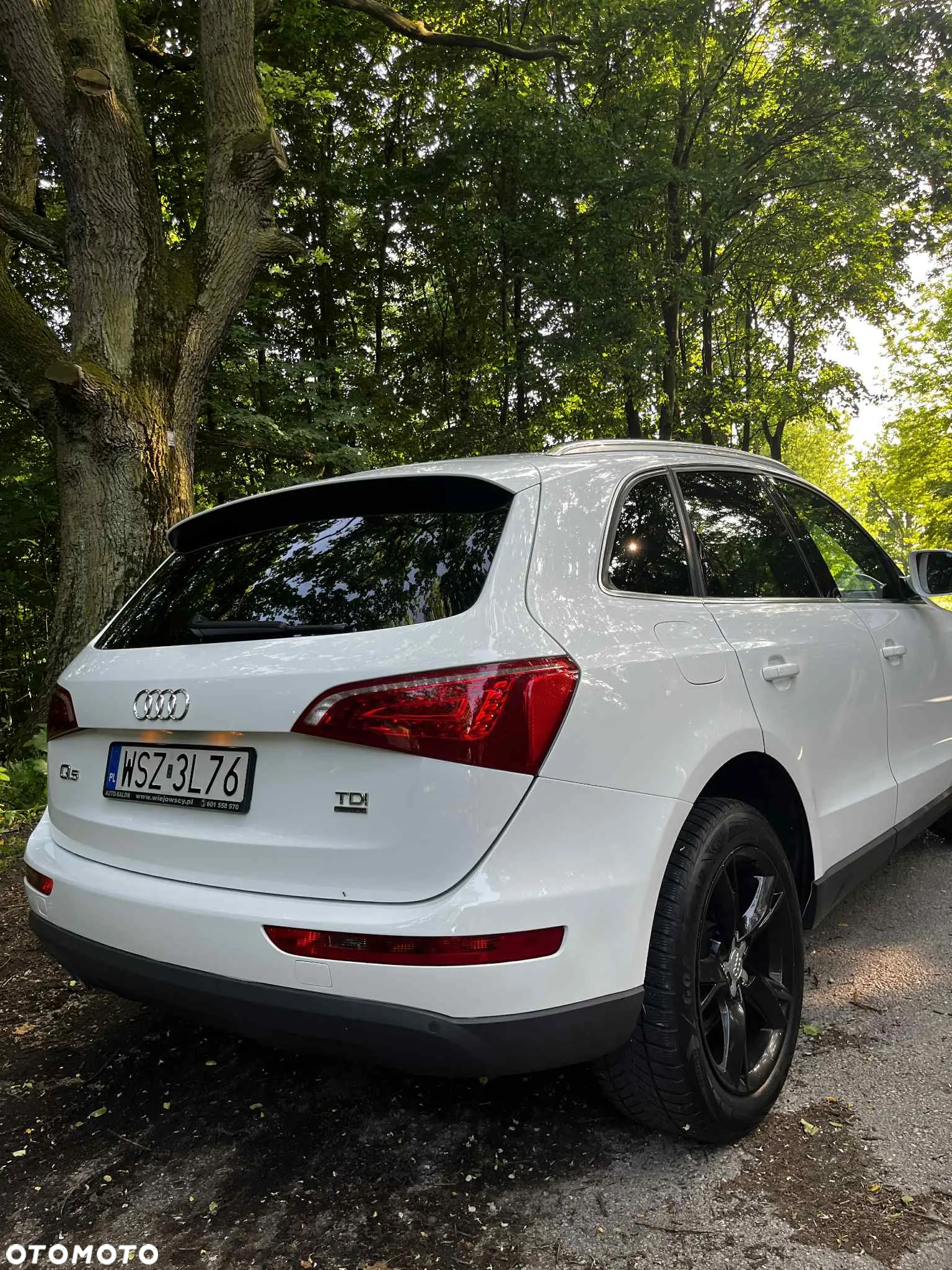 Audi Q5 2.0 TDI Quattro S tronic - 11