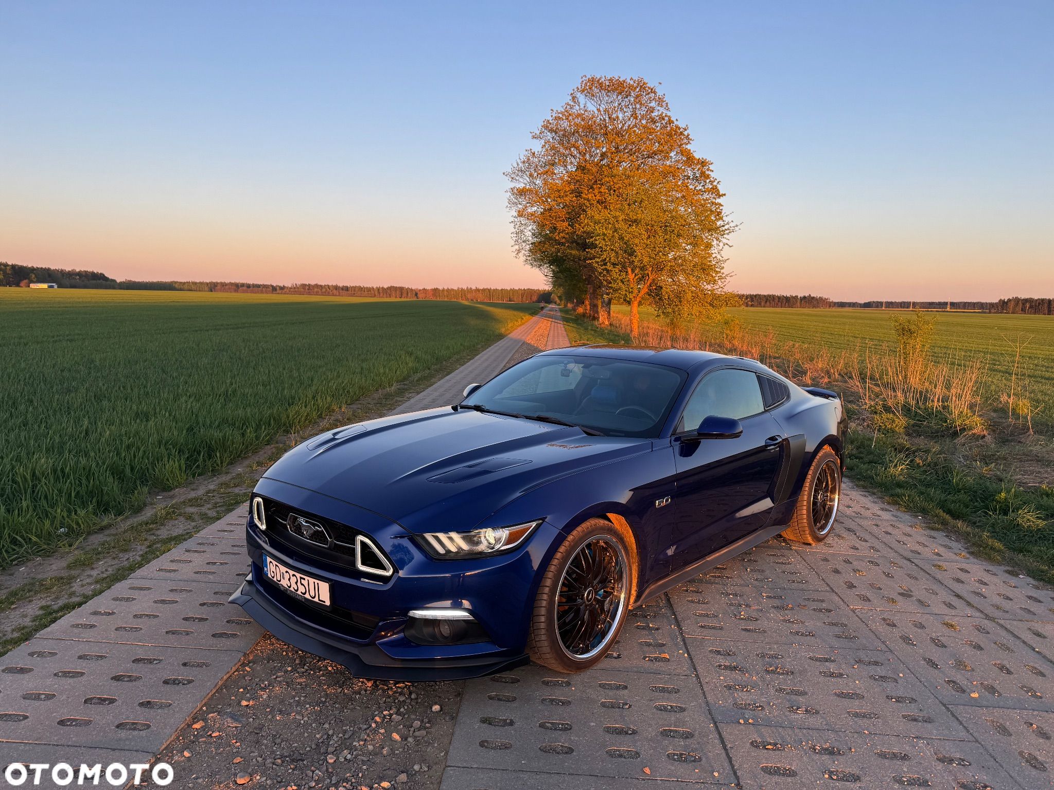 Ford Mustang 5.0 V8 GT - 1