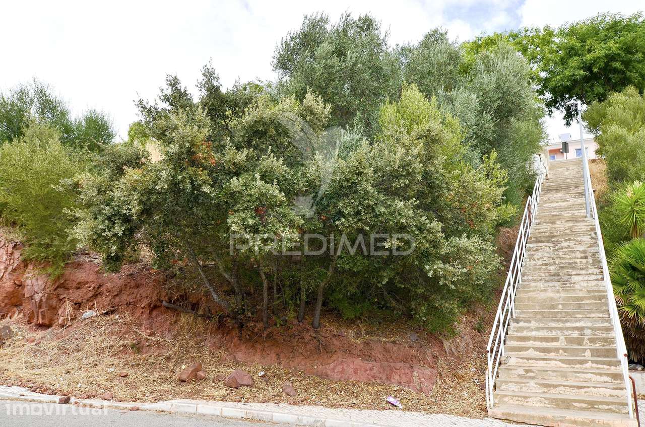 LOTE URBANO COM VIABILIDADE DE CONSTRUÇÃO EM SÃO BARTOLOMEU DE MESS... - Grande imagem: 4/15